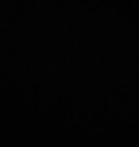 Meet your Posher, Regina